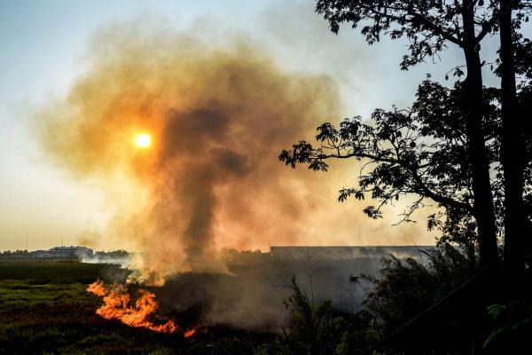 Imbas Karhutla di Sumatera dan Kalimantan, Polri Tetapkan 72 Tersangka, Modusnya Seperti Ini