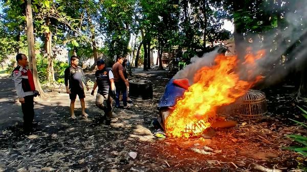 Arena Judi Sabung Ayam di Balongbendo Sidoarjo Digerebek Polisi, Barang Bukti Dibakar