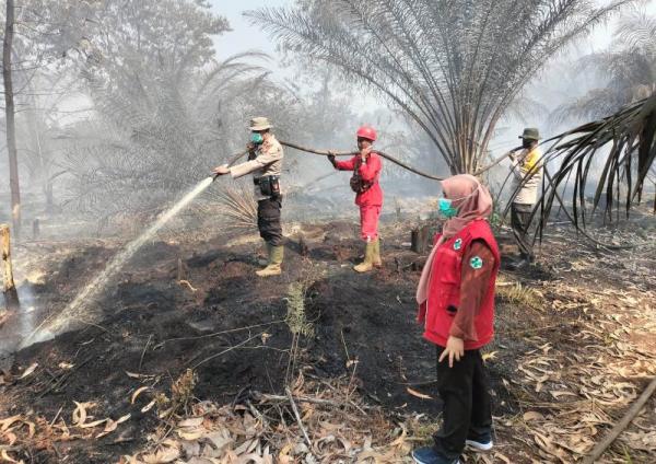 Penanggulangan Karhutla di Bandar Laksamana, Tim Gabungan Berhasil Putus Kepala Api