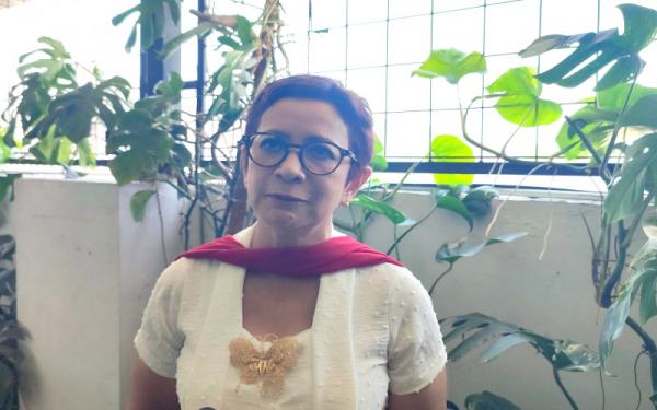 Nurul Arifin Soroti Pohon Tua Bandung Mati Disiram Air Aki hingga Kawasan Kota Kian Kumuh