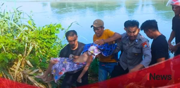 Jasad Bocah SD yang Diterkam Buaya di Mamuju Tengah Ditemukan Mengapung di Sungai