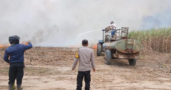 Kebakaran Lahan Tebu Ganggu Bahan Baku Pabrik, SGN Perkuat Penanganan
