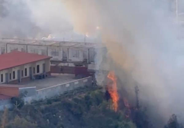 Bromo Kembali Terbakar, Api Merambat ke Homestay Tengger Indah