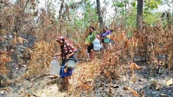 Kemarau Panjang, Warga Boyolali Rela Susuri Hutan 2 Kilometer Demi Air Bersih