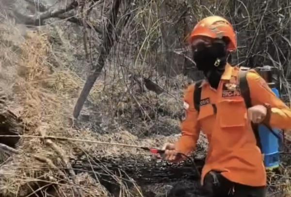 Karhutla Gunung Semeru Kian Meluas, 3.235 Pendaki Gagal Naik