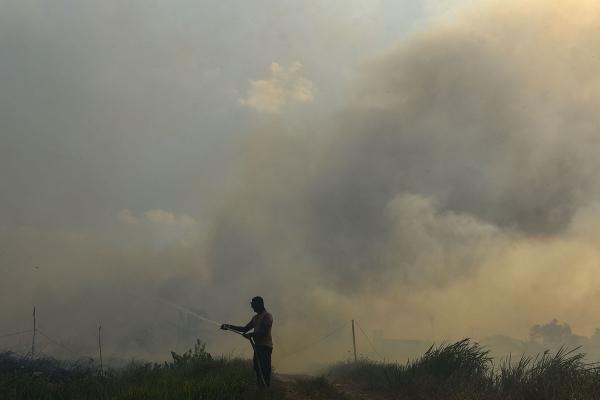 Polri Tetapkan 113 Tersangka Kasus Dugaan Pidana Karhutla, Sumsel Ada 20 Orang dan Riau Terbanyak