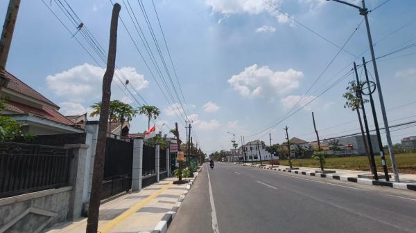 Diduga Mati Kepanasan, 108 Pohon di Trotoar jalan Panglima Polim Bojonegoro Kini Mengering