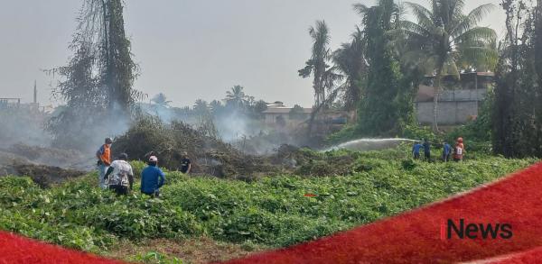Gegara Bakar Sampah, Lahan Gambut di Topoyo Mamuju Tengah Terbakar Hebat hingga 7 Jam