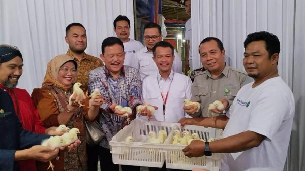 Peternak Broiler Gunungkidul Diberikan Sarana Produksi hingga Serapan Hasil Panen