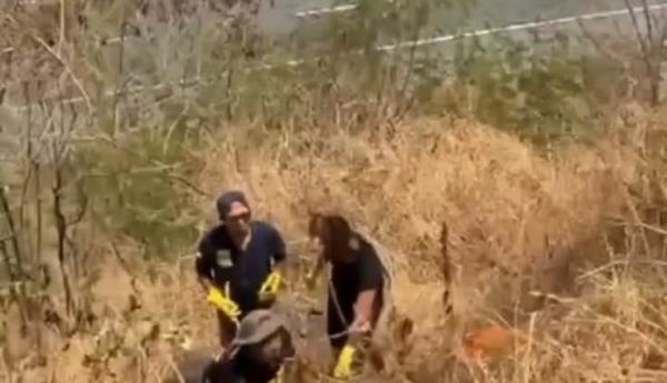 Keluarga Kenali Gigi Gingsul dan Jepit Rambut, Polisi Tetap Tes DNA Kerangka Mozza