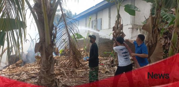 Kebakaran Lahan di Topoyo Nyaris Masuk Permukiman, Warga Panik