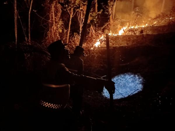 Api Lahap 2,5 Hektare Lahan Kering di Jatilawang Banyumas