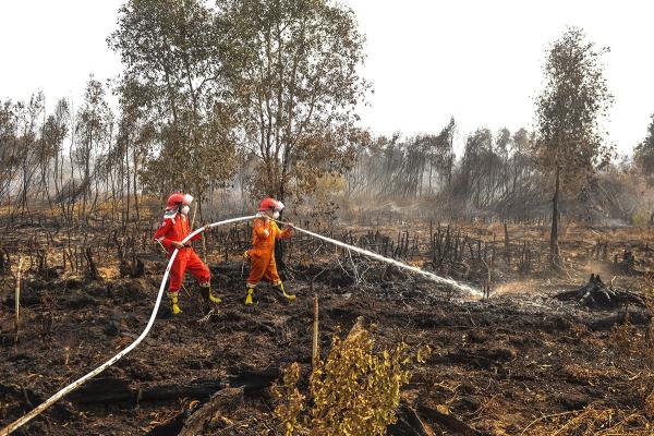 Potret Relawan dan Satgas Padamkan Kebakaran Lahan Gambut