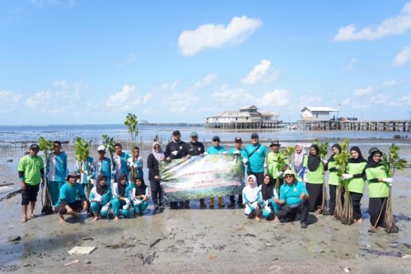 PLN Perkuat Ekonomi dan Ekosistem Pesisir melalui Program Desa Berdaya Tanjung Seloka