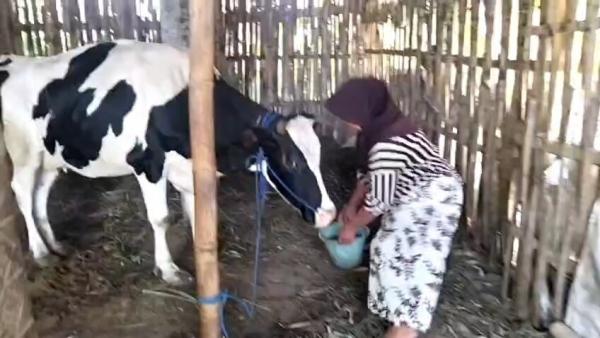 Krisis Air Bersih Meluas di Boyolali, Warga Terpaksa Jual Ternak Demi Air