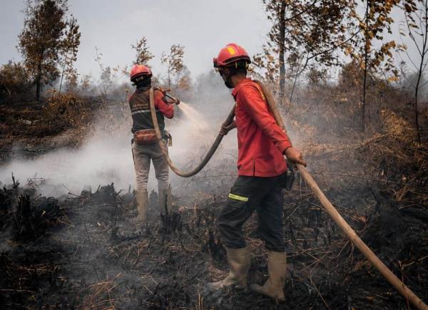 APHI Dukung Inpres Terkait Penegakan Hukum Karhutla