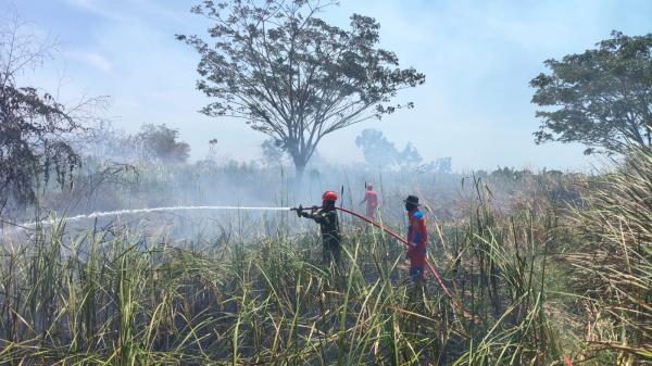 Marak Kebakaran, Damkar Indramayu Minta Masyarakat Waspada
