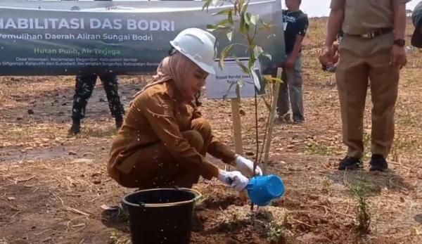 DAS Bodri Dihijaukan, Kendal Kejar Ketahanan Air