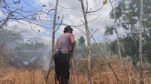 Lahan Kering Terbakar di Perbatasan Sukoharjo-Gunungkidul, Polisi dan Warga Berjibaku Padamkan Api