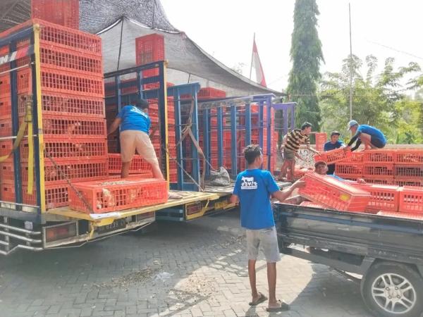 Anggaran Rp 74 Miliar Digelontorkan untuk Gayatri, Pemkab Bojonegoro Mulai Salurkan Ayam ke KPM