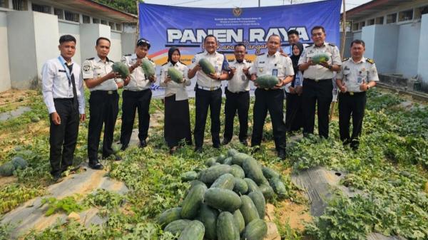 Lapas Pangkalpinang Panen 518 Kg Semangka, Berdayakan Warga Binaan
