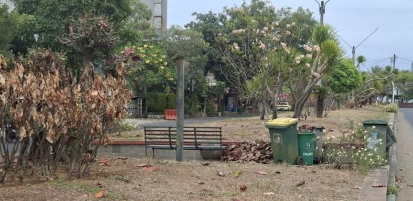 Wajah Gerbang Wisata Pangandaran Mulai Gersang, Warga: Dulu Zaman Pak Jeje Tiap Sore Disiram