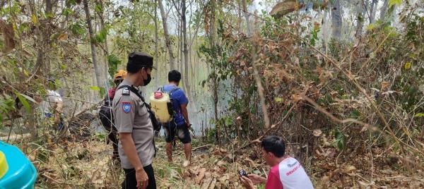 Karhutla Dekati Permukiman, Polsek Tapango dan Warga Bergerak Cepat Padamkan Api