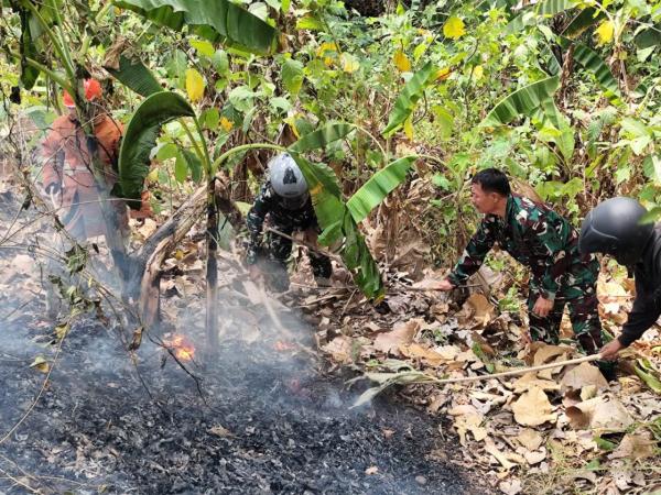 Patroli Perhutani Temukan Api di Hutan Magelung, Petugas Gabungan Turun Tangan