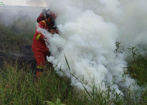 Kabut Asap Riau, Karhutla Juga Terjadi di Lahan Perusahaan di Siak