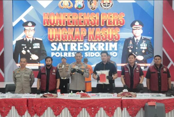Koper Berisi Baby Lobster Senilai Rp4,6 M Gagal Terbang ke Singapura, Kurir Dibekuk Polisi