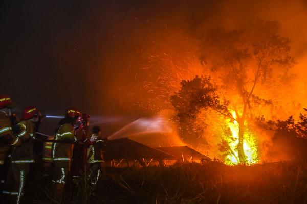Potret Kebakaran Lahan Ancam PLTS di Jakabaring Sport City