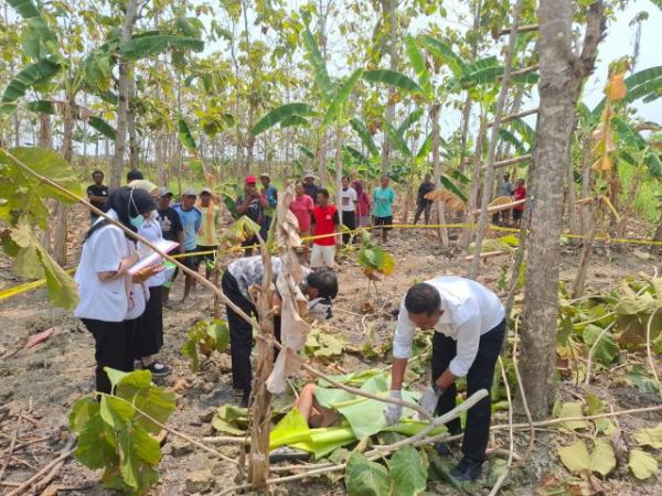 Seorang Lansia di Wirosari Grobogan Ditemukan Meninggal Dunia di Sawah, Ini Penjelasan Polisi