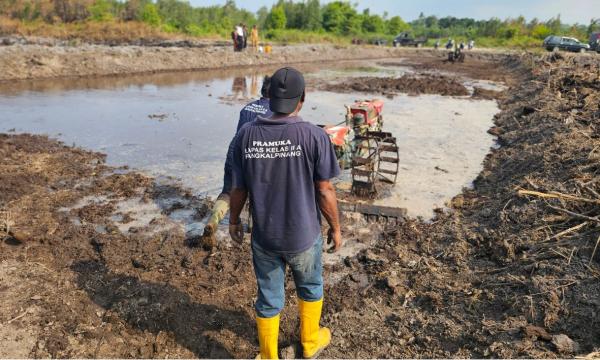 Warga Binaan Lapas Pangkalpinang Cetak Sawah, Ubah Lahan Rawa Jadi Produktif