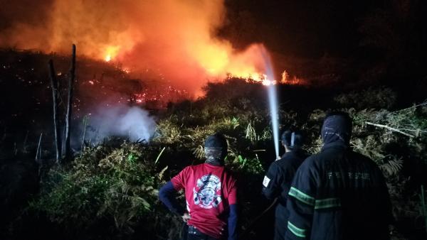 Karhutla Kembali Terjadi di Limapuluh Kota, 5,5 Hektare Lahan Terbakar
