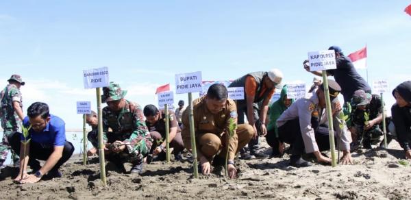 2.000 Mangrove Ditanam di Pasi Aron, Pidie Jaya Perkuat Benteng Alami Pesisir