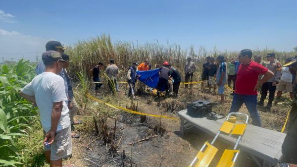 Tragis, Pria Lansia di Jombang Ditemukan Tewas Saat Bakar Sisa Daun Tebu
