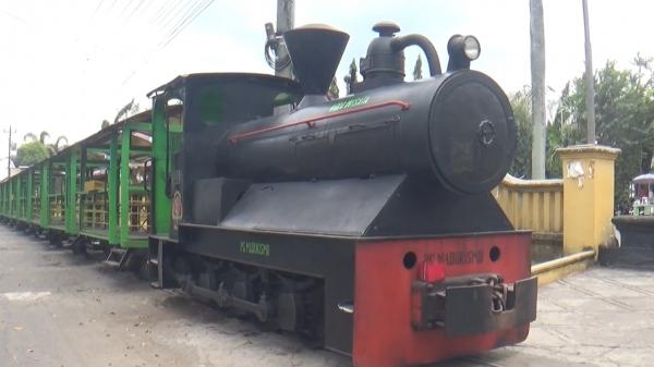 Agrowisata Pabrik Gula Madukismo, Naik Kereta Lori Tua Sambil Melihat Proses Produksi Gula