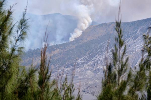 Kebakaran Gunung Bromo Meluas ke Jemplang, Seluruh Akses Wisata Ditutup