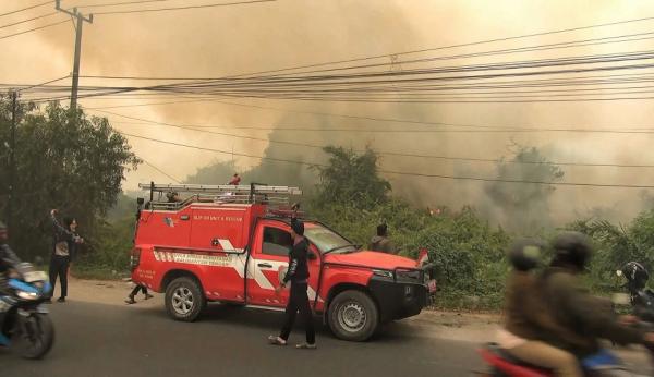 Karhutla di Palangka Raya Meluas, Api Dekati Rumah Warga dan Asap Tunda Penerbangan
