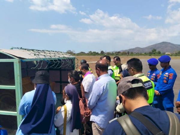 Tewas Ditembak KKB di Papua, Jenazah Dokter Hewan Asal NTT Dipulangkan dengan Pesawat Polri