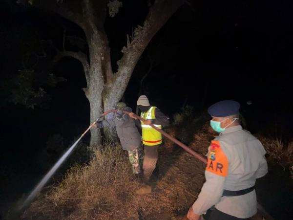 Karhutla Bromo Merembet ke Jemplang Malang, 20 Hektare Hutan Terdampak