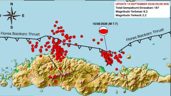 Getaran Masih Terasa Flores, Gempa Susulan Tembus 15.156 Kali