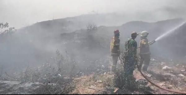 Kemarau Panjang, Kendal Perketat Kesiapsiagaan Hadapi Karhutla