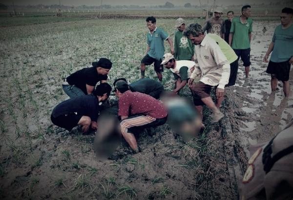 Sudah Tewaskan 11 Orang di Bojonegoro, Pasang Jebakan Tikus Listrik Bisa Dipenjara hingga 5 Tahun