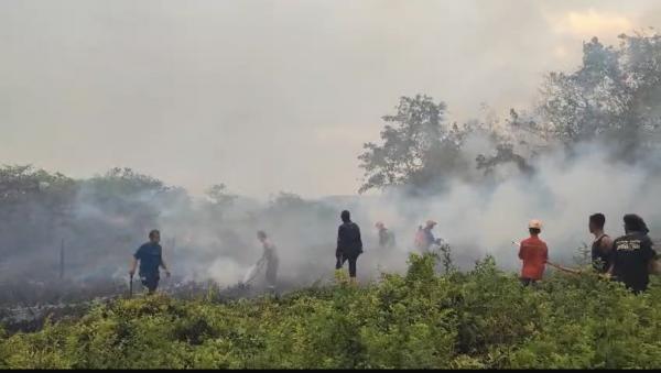 Api Karhutla Merangsek ke Permukiman Sempaja Timur, Warga Melawan dengan Ranting