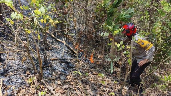 Kebakaran Lahan di Mombi Polman, Polisi dan Warga Berjibaku Padamkan Api