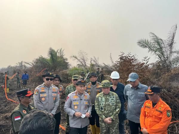 Sebabkan Kebakaran 200 Hektare di Sekitaran Taman Nasional, Warga Inhu Ditangkap