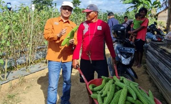 Kemarau dan Serangan Penyakit Mengintai, Petani Butuh Benih yang Adaptif dan Cepat Panen