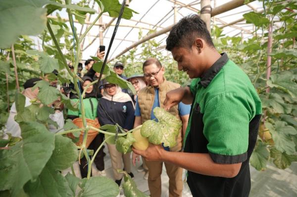 SMKN 1 Tulungagung Budidaya Melon Gunakan Hidroponik dan AutoGrow, Sekali Panen Capai 3,5 Ton