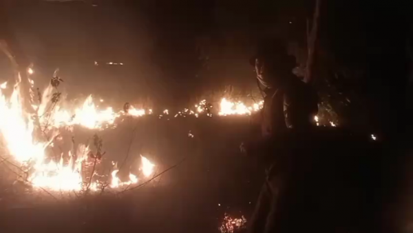 Api Mengamuk di Dua Perbukitan Pringsewu, Petugas Turun Tangan hingga Malam